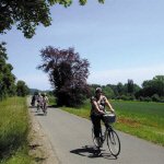 Fietser